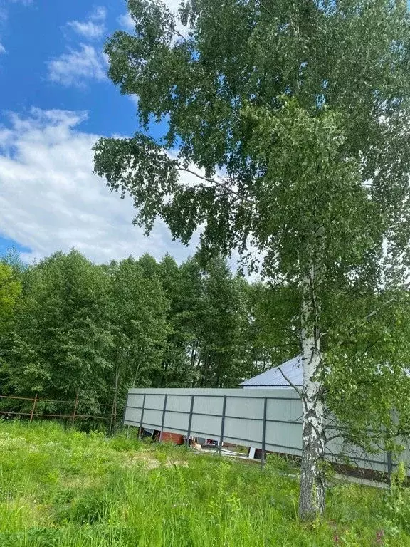 Продается участок в д. Обухово - Фото 2