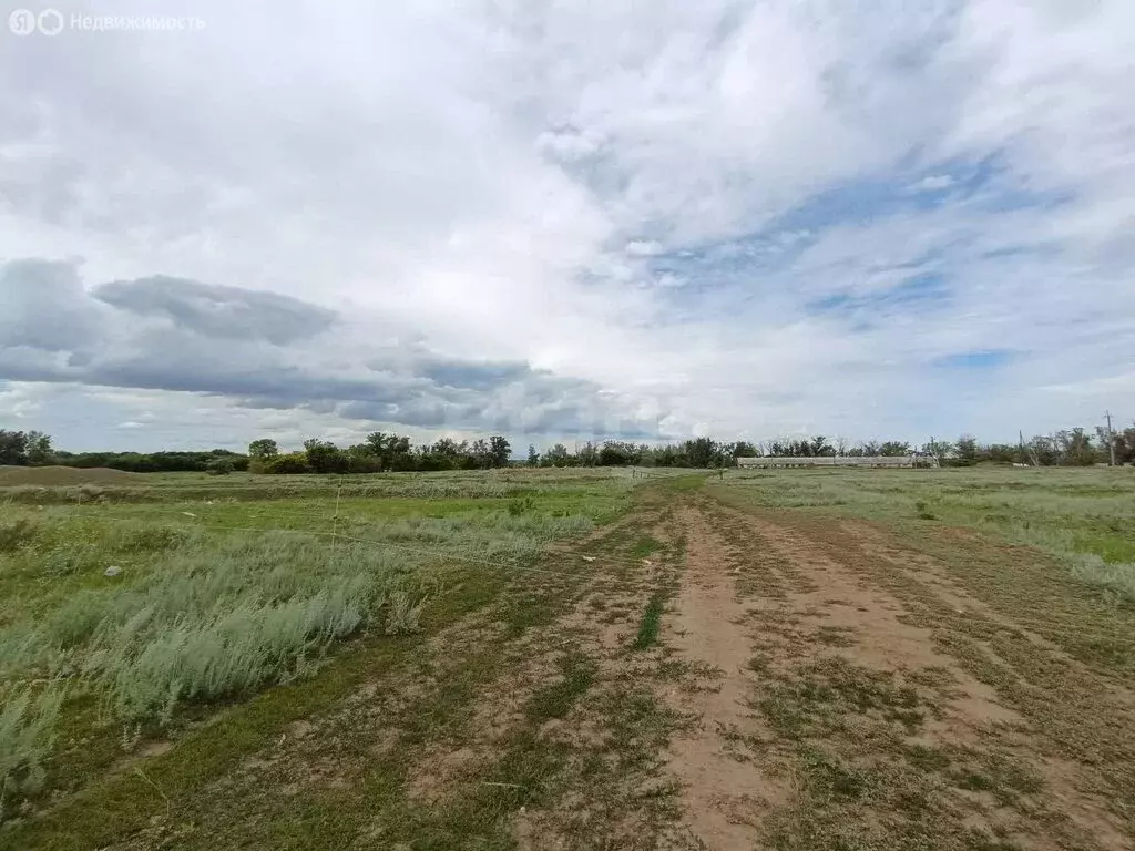 Участок в Самородово, Школьная улица (544.13 м) - Фото 0