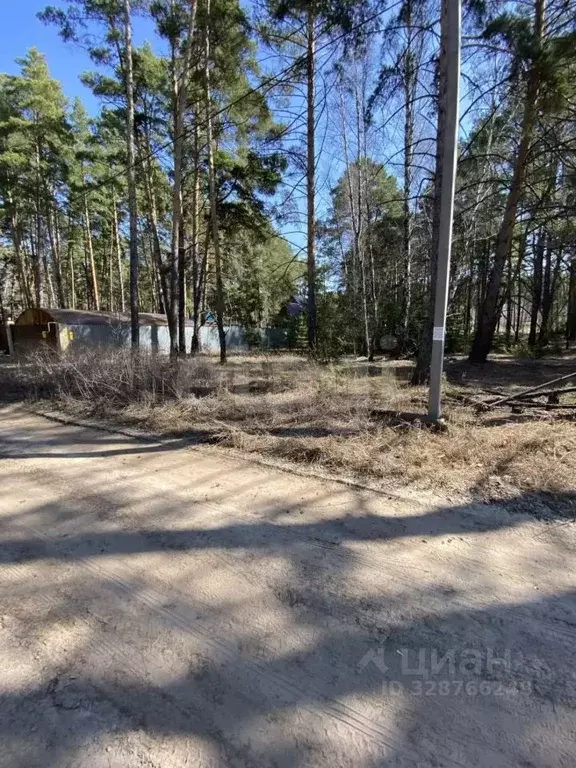 Участок в Курганская область, Кетовский муниципальный округ, д. ... - Фото 2