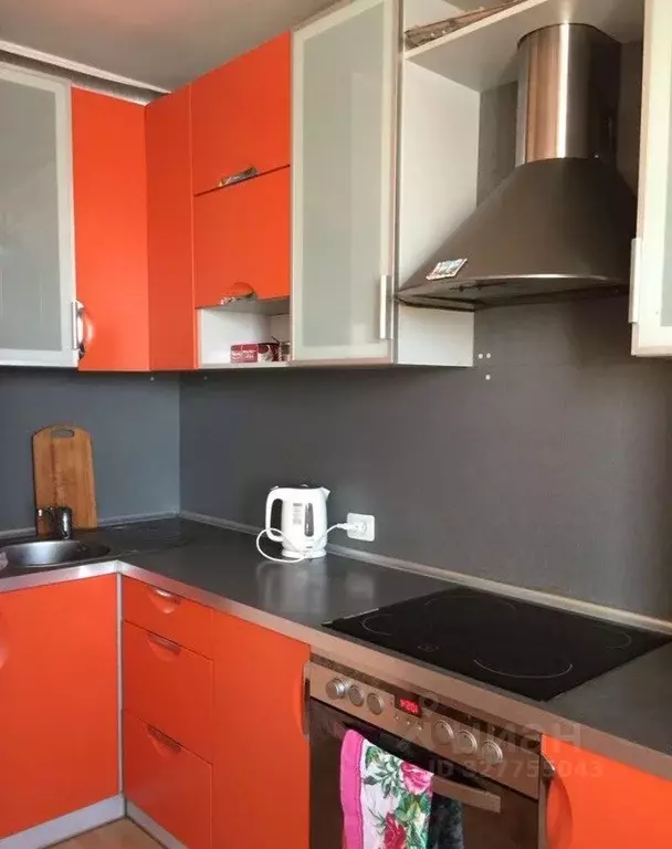 1-к кв. Алтайский край, Барнаул ул. Чкалова, 50 (30.0 м) - Фото 2