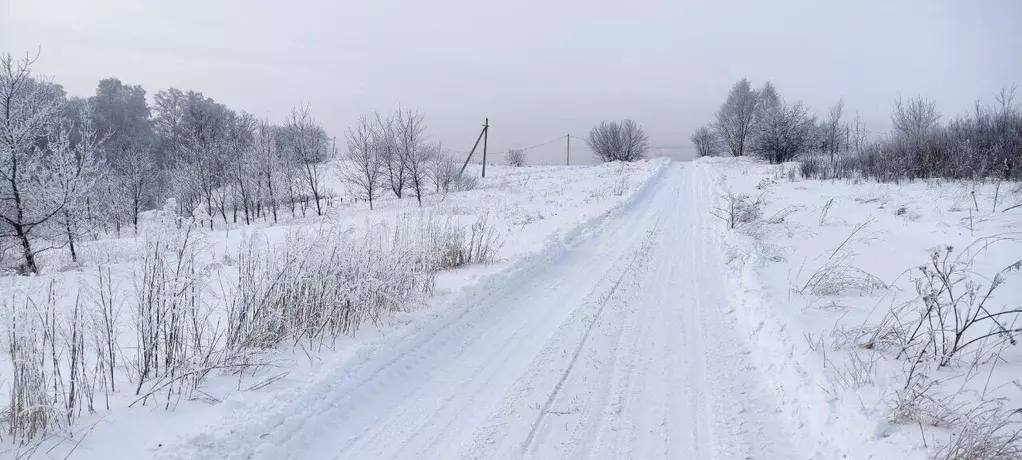 Участок в Кемеровская область, Новокузнецкий муниципальный округ, ... - Фото 1