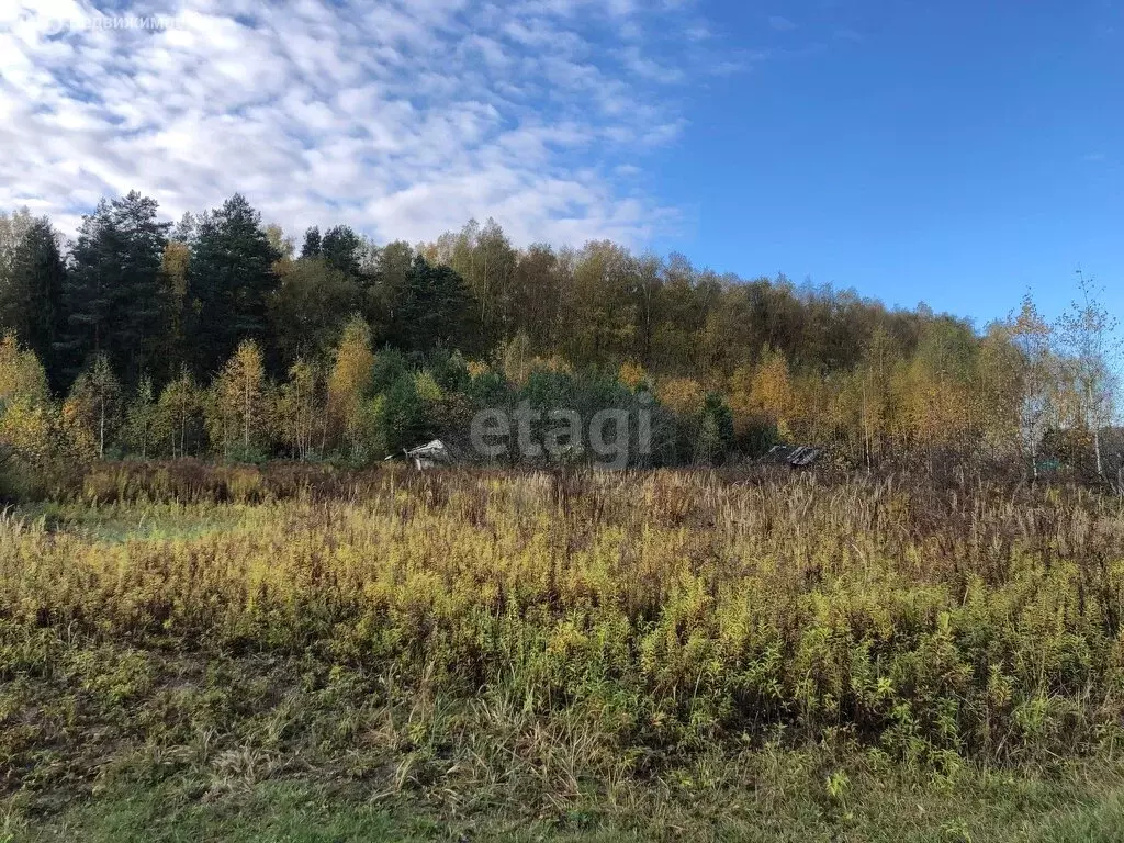 Участок в Нижегородская область, городской округ Дзержинск, сельский ... - Фото 0