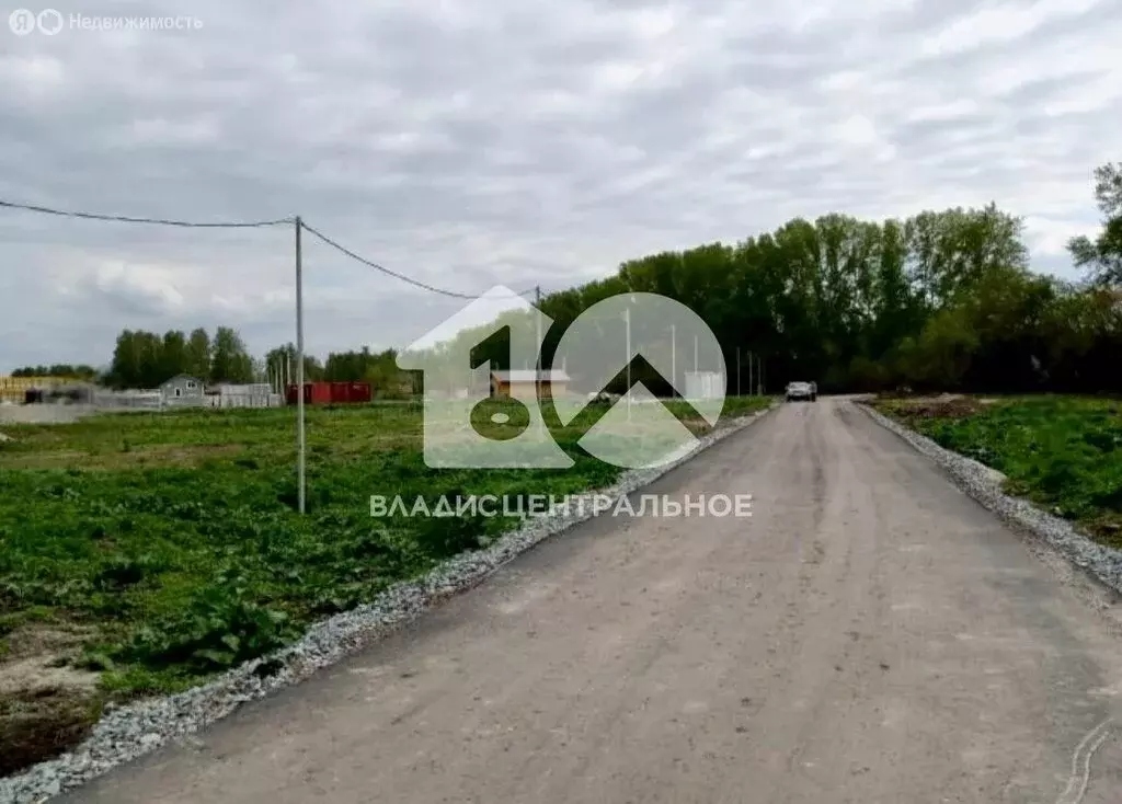 Участок в Новосибирский район, Морской сельсовет, село Ленинское (8.12 ... - Фото 1