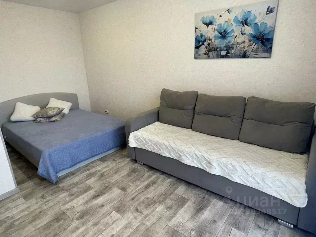 1-к кв. Амурская область, Благовещенск Амурская ул., 283 (40.0 м) - Фото 2