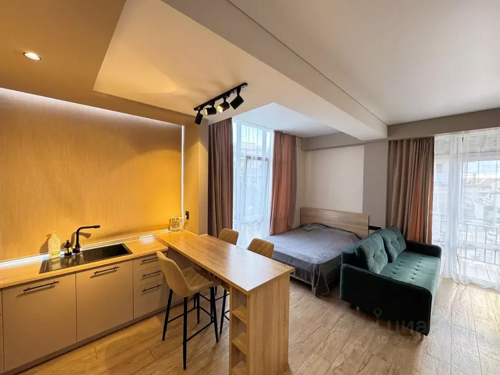 Студия Краснодарский край, Сочи Мамайка мкр, ул. Загородная, 3/6 (40.0 ... - Фото 1