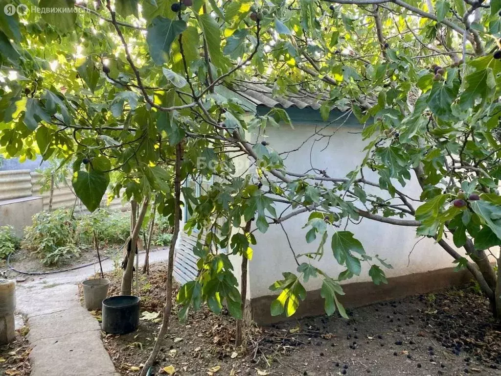 Дом в Республика Крым, муниципальный округ Судак, село Дачное (185 м) - Фото 1