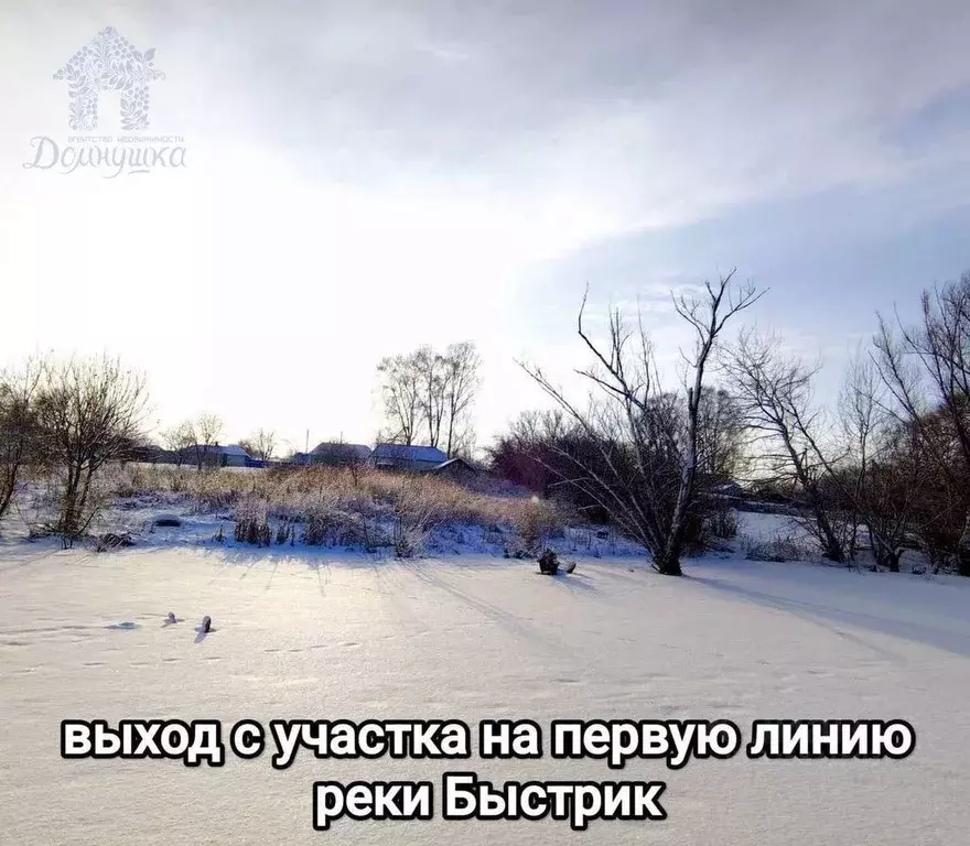 Участок в Воронежская область, Рамонский район, с. Ломово Центральная ... - Фото 2