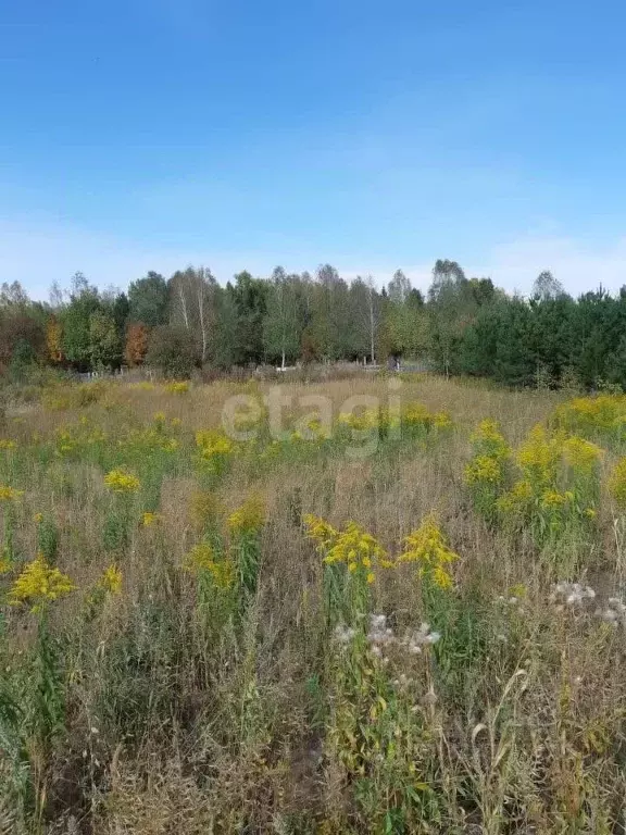 Участок в Алтайский край, Бийский район, Дубки СНТ ул. Лесная (9.4 ... - Фото 0
