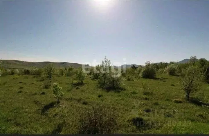 Участок в Алтайский край, Алтайский район, Вершина Бабырган СНТ  (10.0 ... - Фото 1