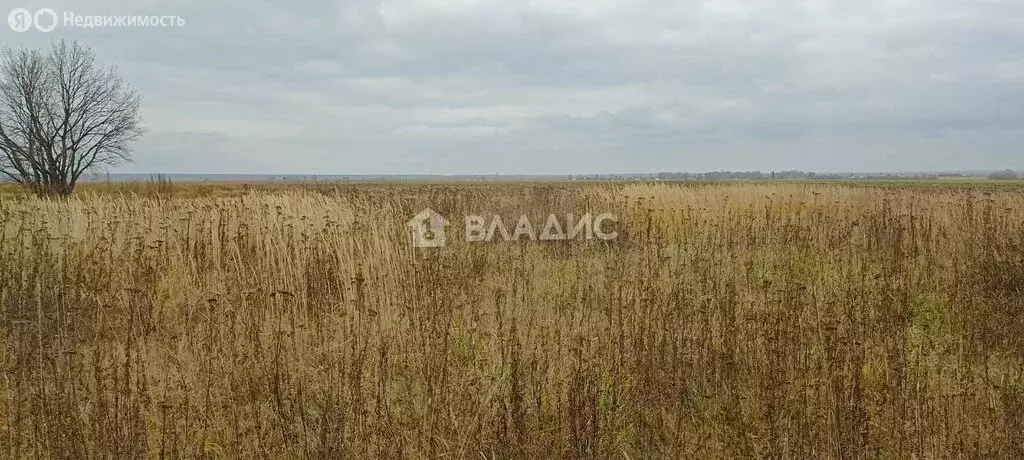 Участок в Медведевский район, Пекшиксолинское сельское поселение, ... - Фото 1