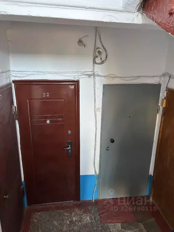 Свободной планировки кв. Пермский край, Кизел ул. Ленина, 46 (27.8 м) - Фото 1