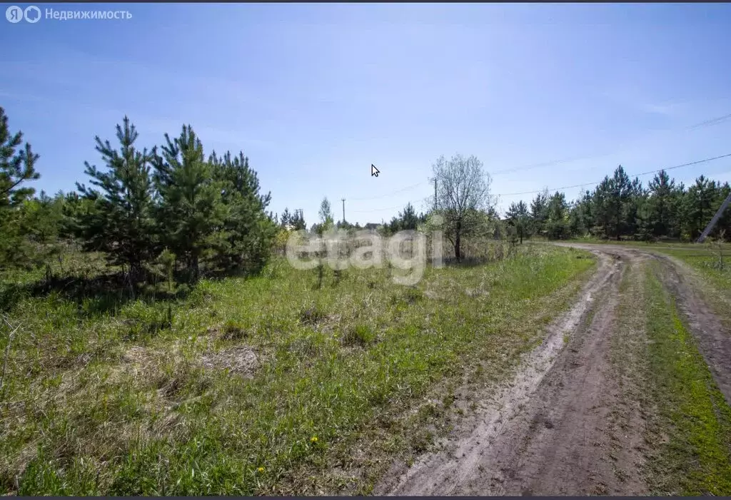 Участок в Заводоуковск, СОТ Колос (14 м) - Фото 2