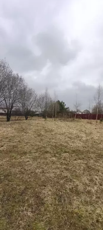 Участок в Московская область, Раменский муниципальный округ, д. ... - Фото 1