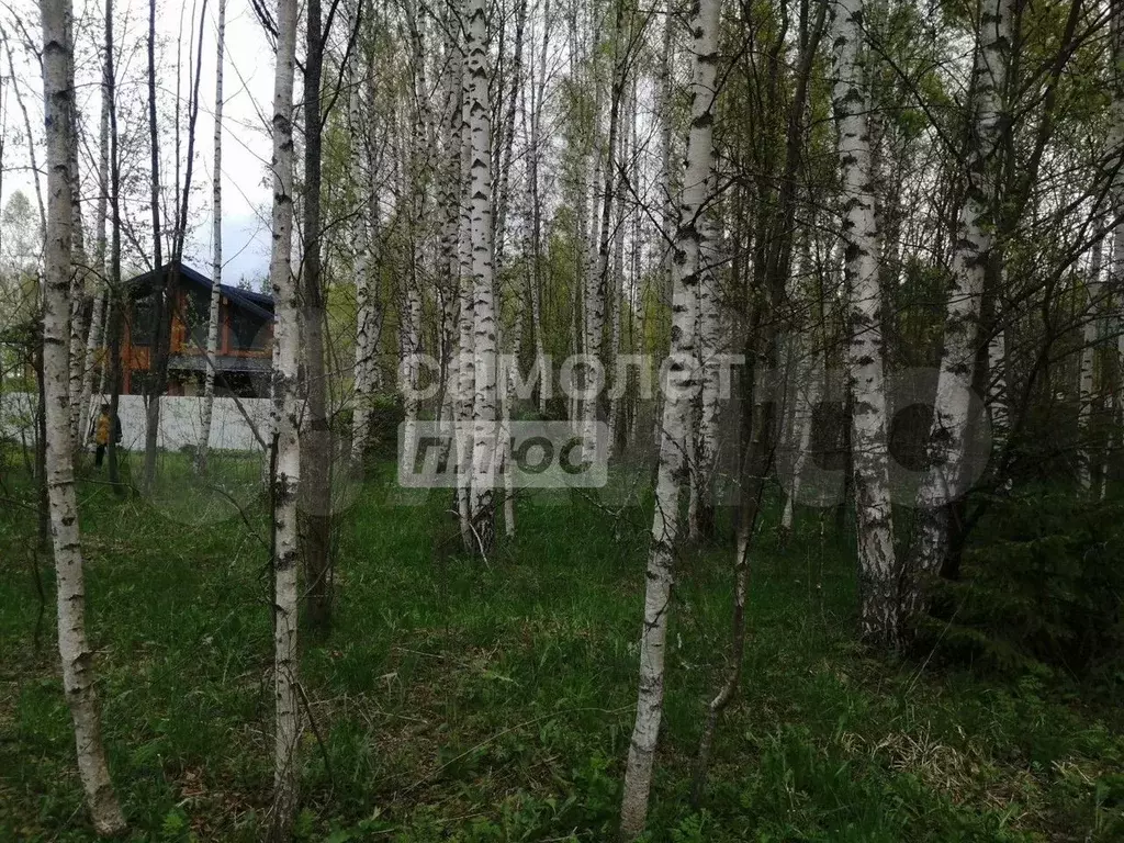 Участок 16 сот. (ИЖС) - Фото 1