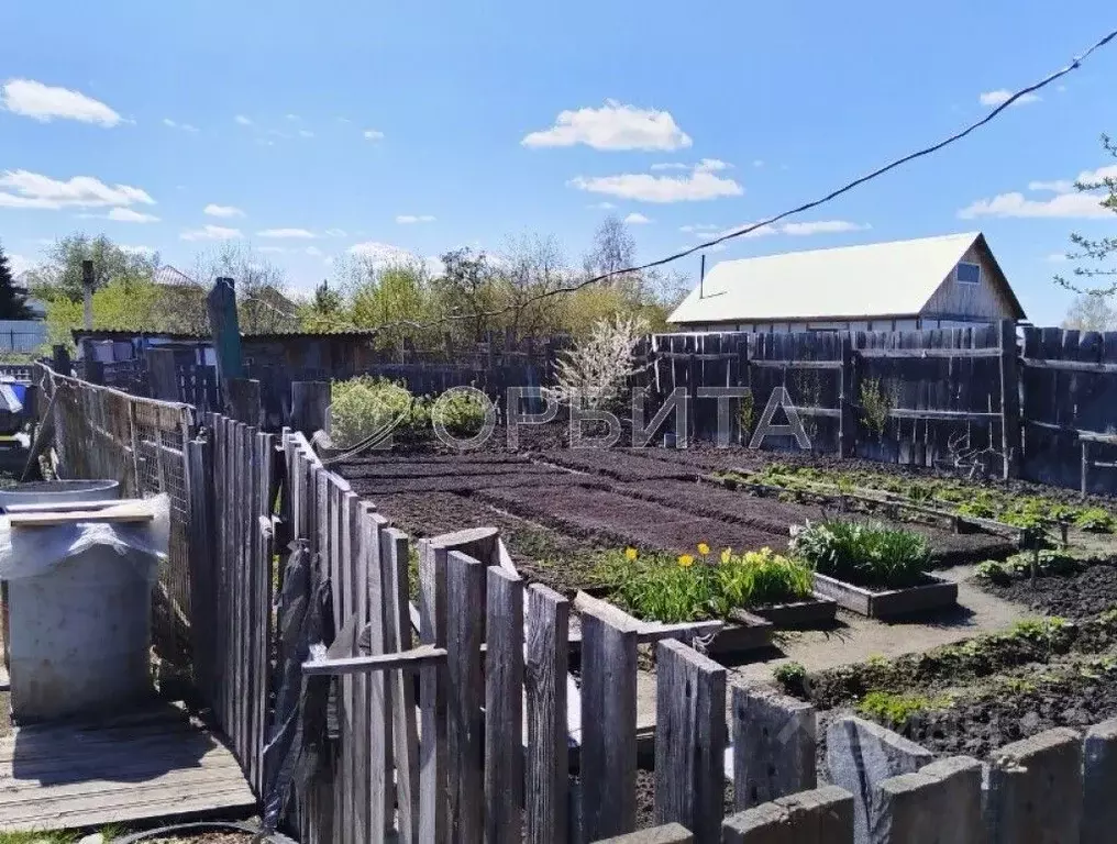 Участок в Тюменская область, Тюмень Березняковский мкр, ул. Любимая ... - Фото 1