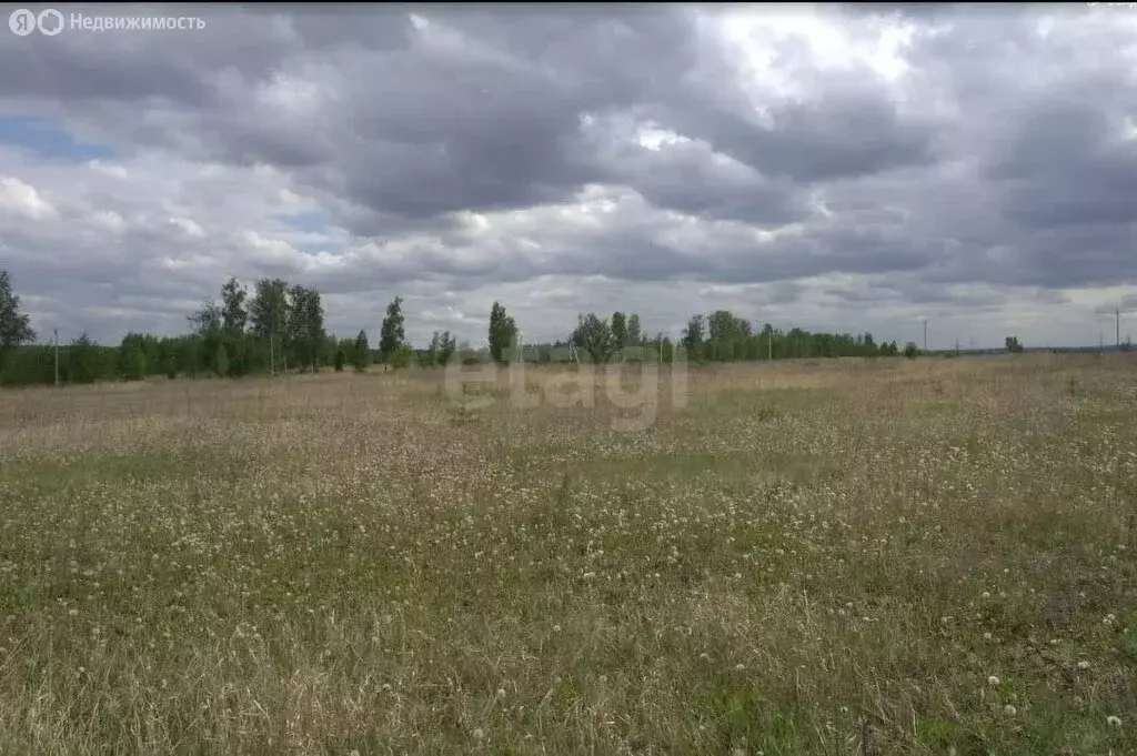 Участок в Поспеловское сельское поселение, посёлок Луговой (10 м) - Фото 1