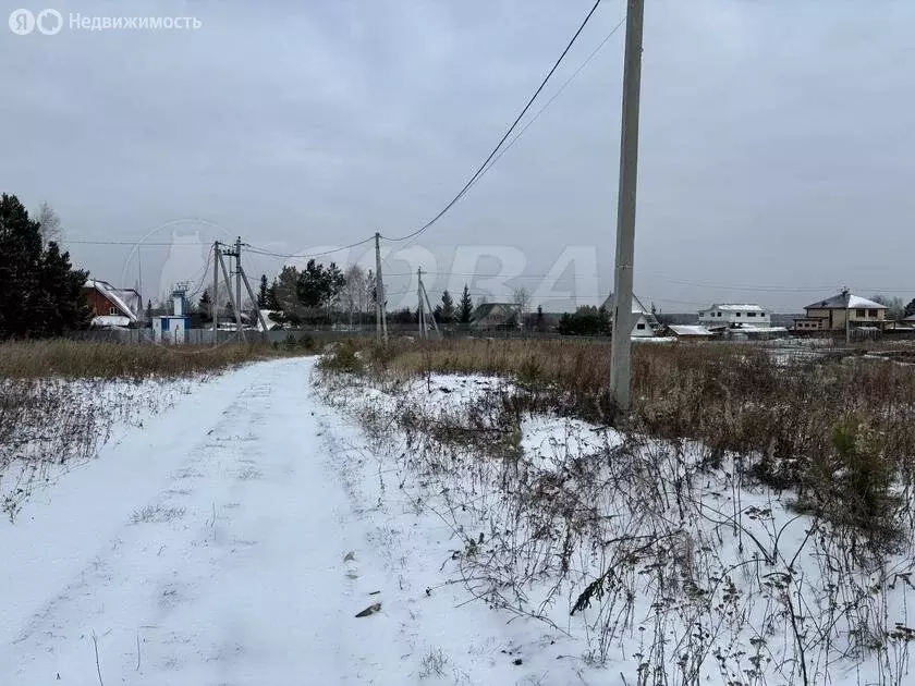 Участок в Тюменский район, деревня Насекина (8.8 м) - Фото 1