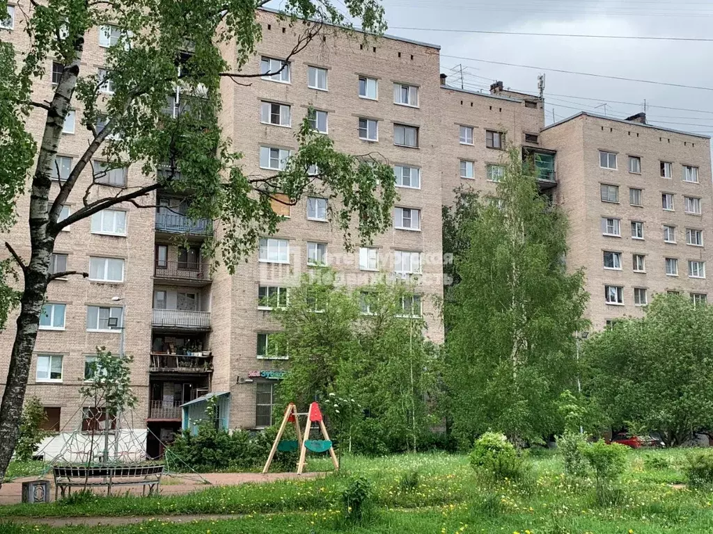 Комната Санкт-Петербург ул. Дыбенко, 9К1 (13.5 м) - Фото 0