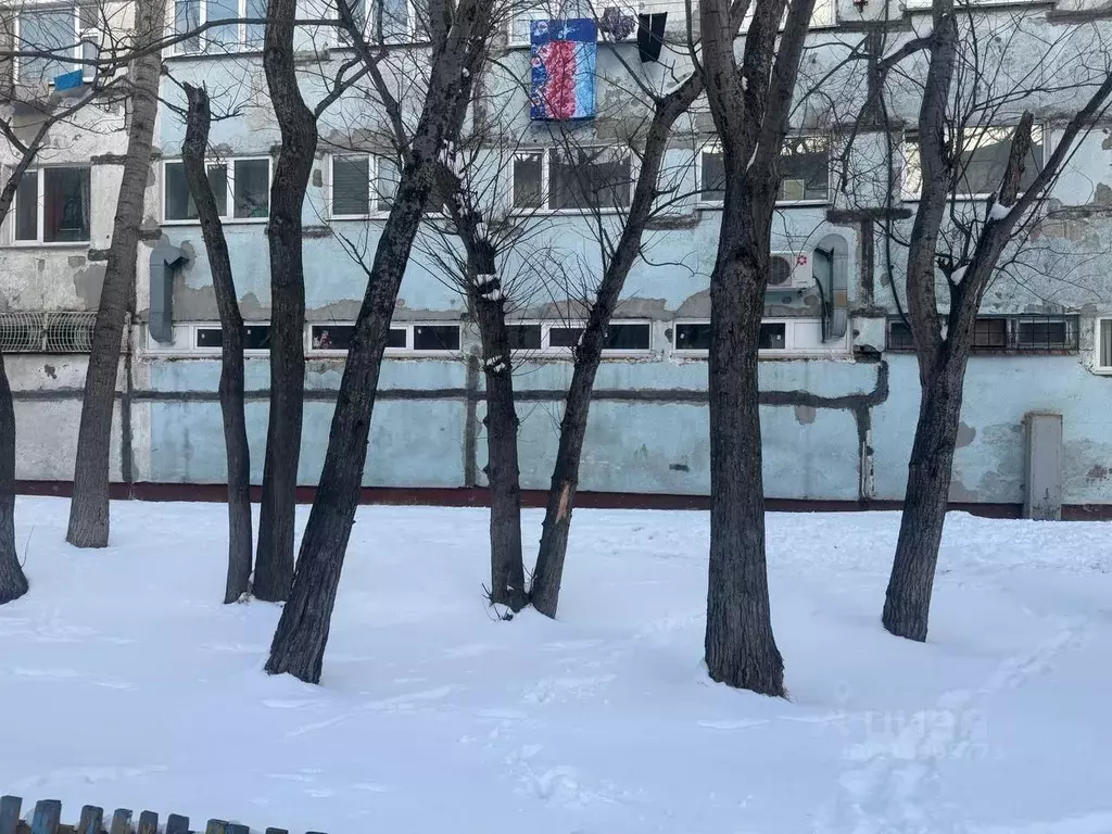 Помещение свободного назначения в Камчатский край, ... - Фото 0