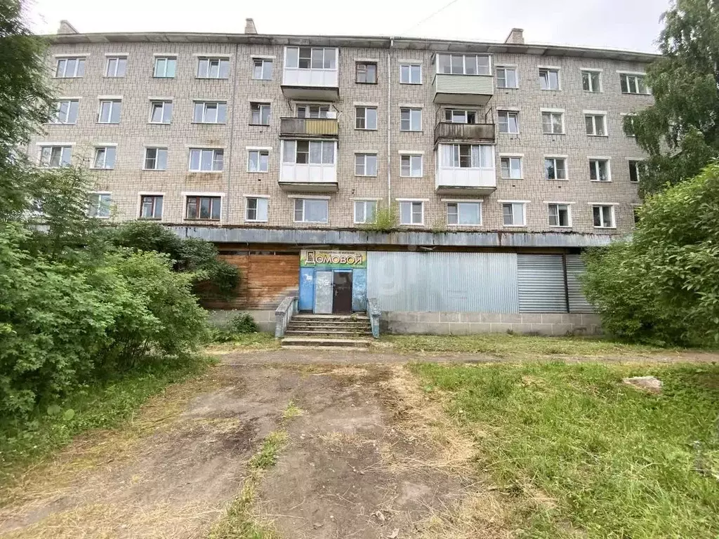 Торговая площадь в Архангельская область, Котлас ул. Менделеева, 14 ... - Фото 1