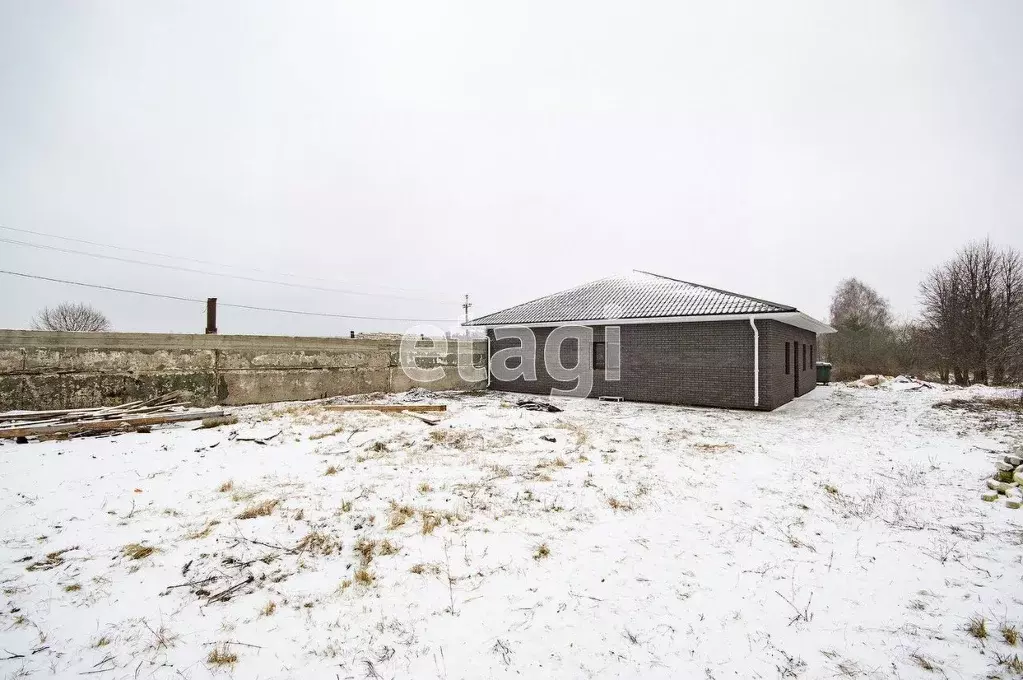 Производственное помещение в Нижегородская область, Богородский ... - Фото 1