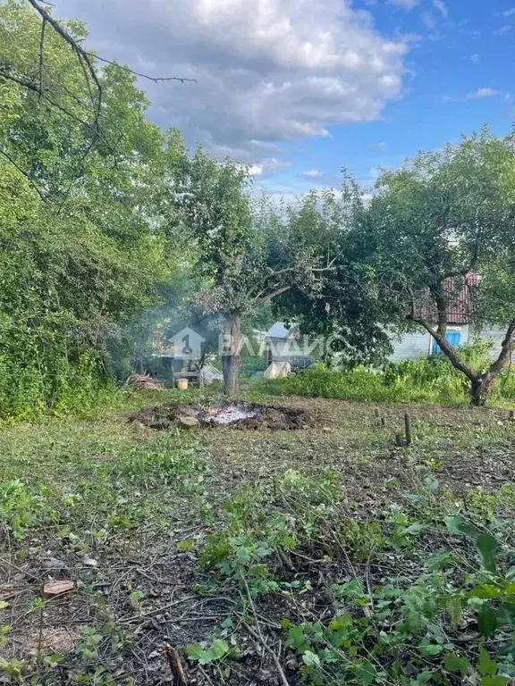 Участок в Нижегородская область, Нижний Новгород д. Толстобино, ... - Фото 1