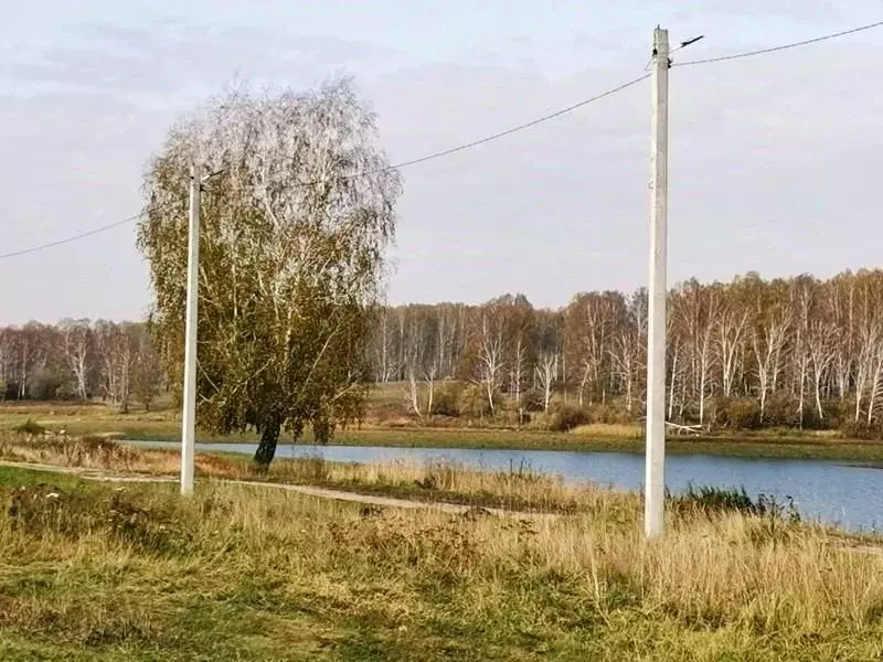 Участок в Новосибирская область, Новосибирский район, Станционный ... - Фото 1