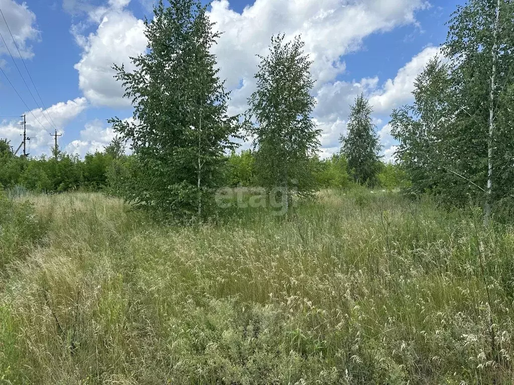 Купить Участок В Воронеже Рамонский Район
