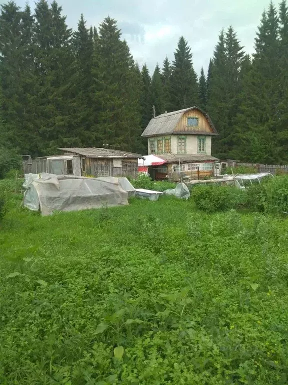 Дом в Пермский край, д. Назарово ул. Березовая (37 м) - Фото 1