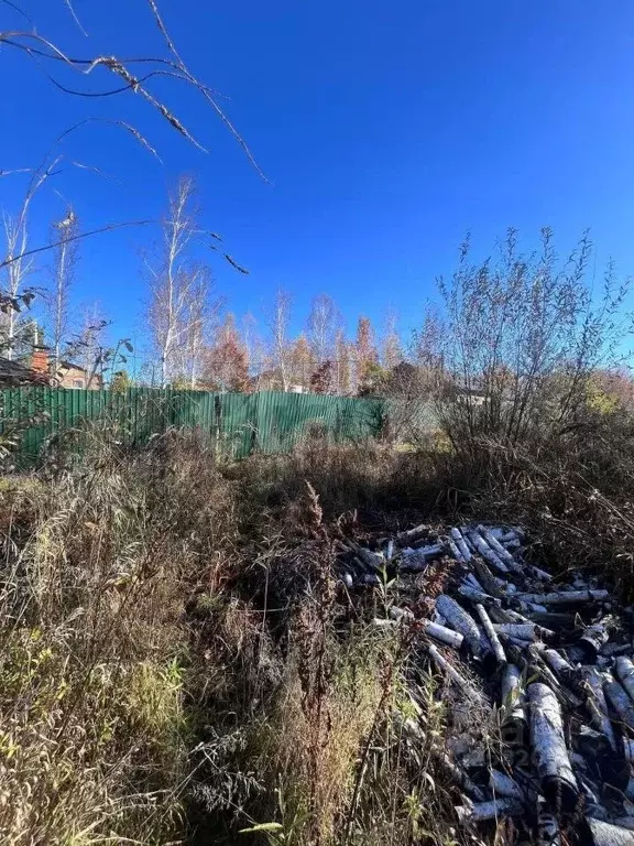 Участок в Амурская область, Благовещенский район, Березка СТ  (11.34 ... - Фото 0