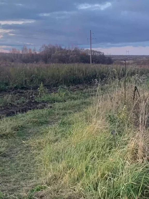 Участок в Московская область, Можайский муниципальный округ, д. ... - Фото 2