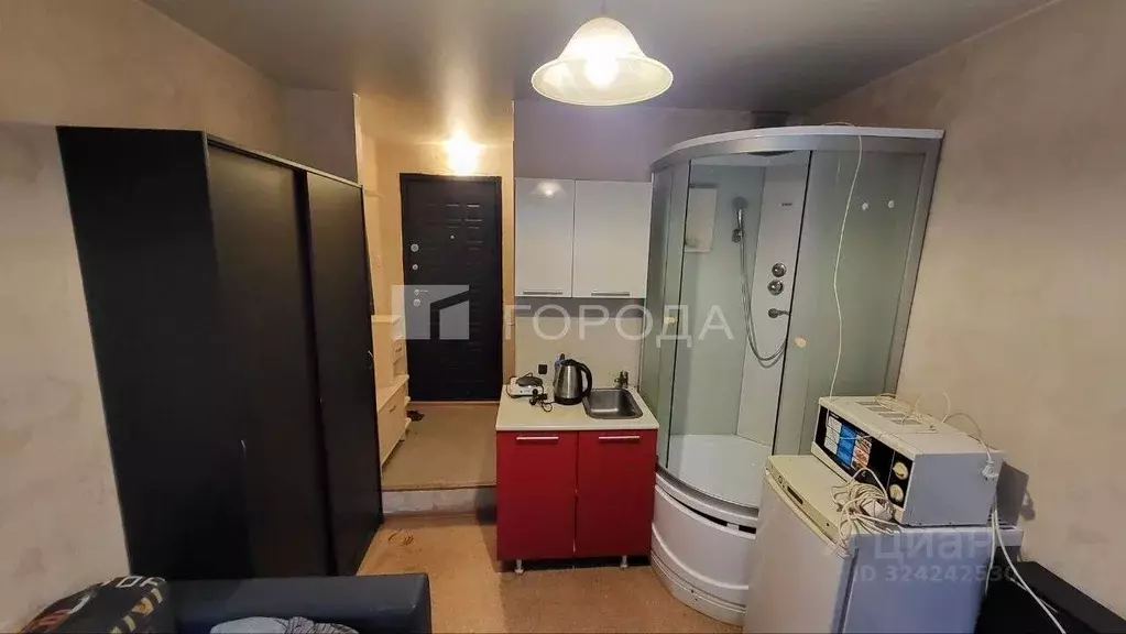 Студия Новосибирская область, Новосибирск ул. Серафимовича, 15 (22.0 ... - Фото 2