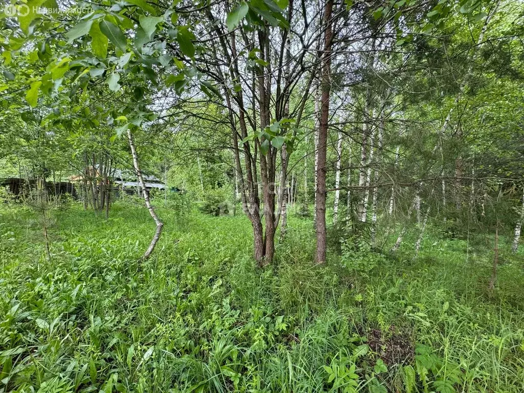 Участок в Сергиево-Посадский городской округ, СНТ Склон, 2 (18 м) - Фото 1