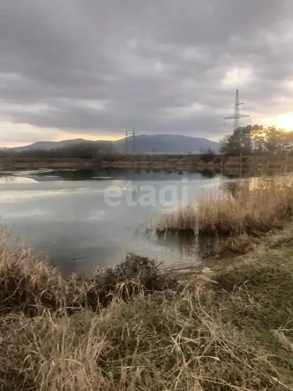 Участок в Крым, Кировский район, с. Абрикосовка ул. Восточная (506.2 ... - Фото 1