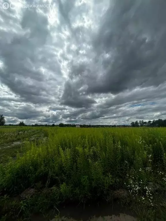 Участок в село Отрадное, Пятницкая улица (10 м) - Фото 1