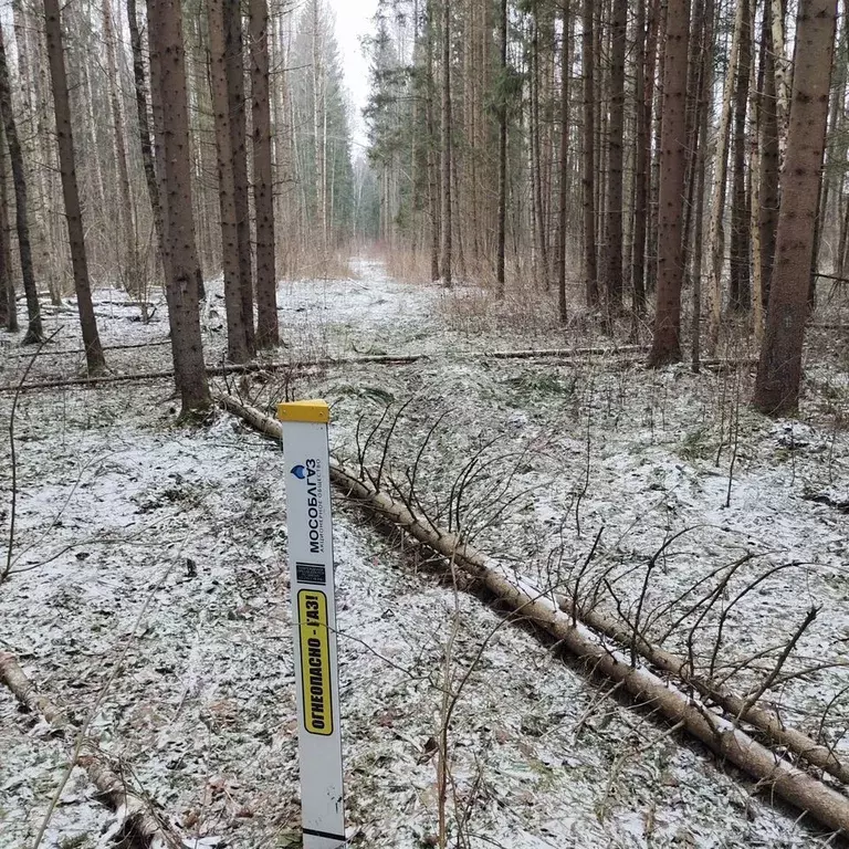 Участок в Московская область, Наро-Фоминский городской округ, ... - Фото 2