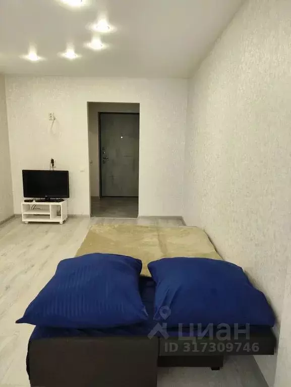Студия Самарская область, Самара Физкультурная ул., 103А (30.0 м) - Фото 0