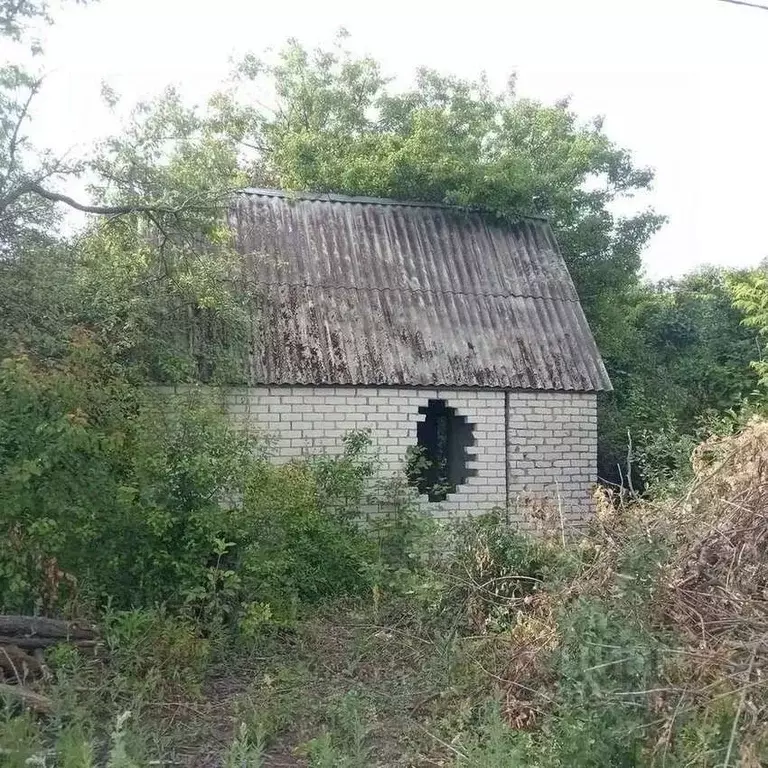 Участок в Белгородская область, Белгородский муниципальный округ, с. ... - Фото 2
