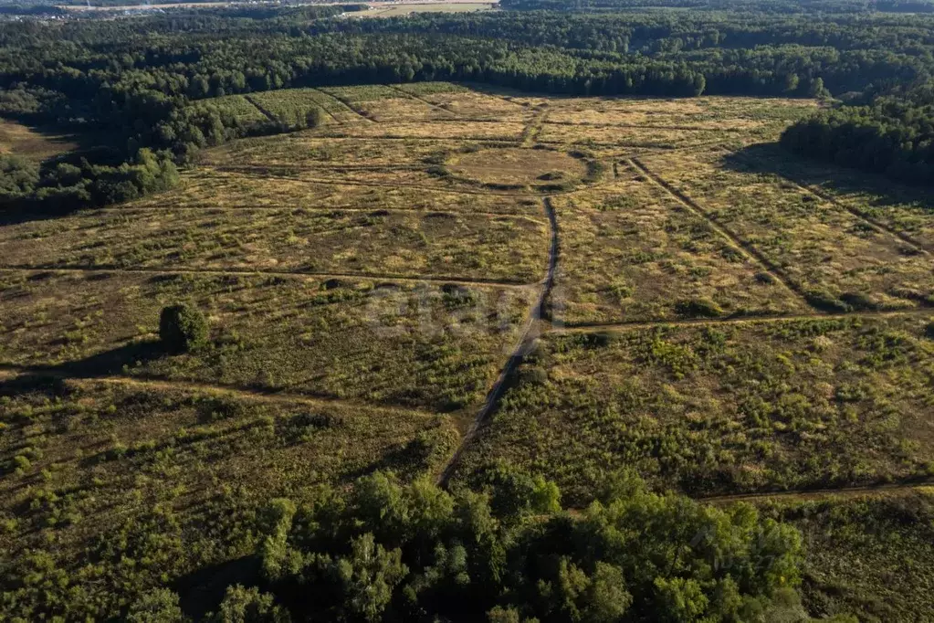 Участок в Калужская область, Жуковский муниципальный округ, д. Инино, ... - Фото 2