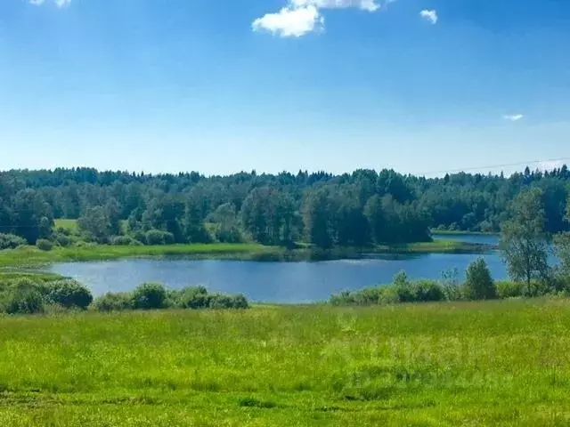 Участок в Ленинградская область, Выборгский район, Селезневское с/пос  ... - Фото 0