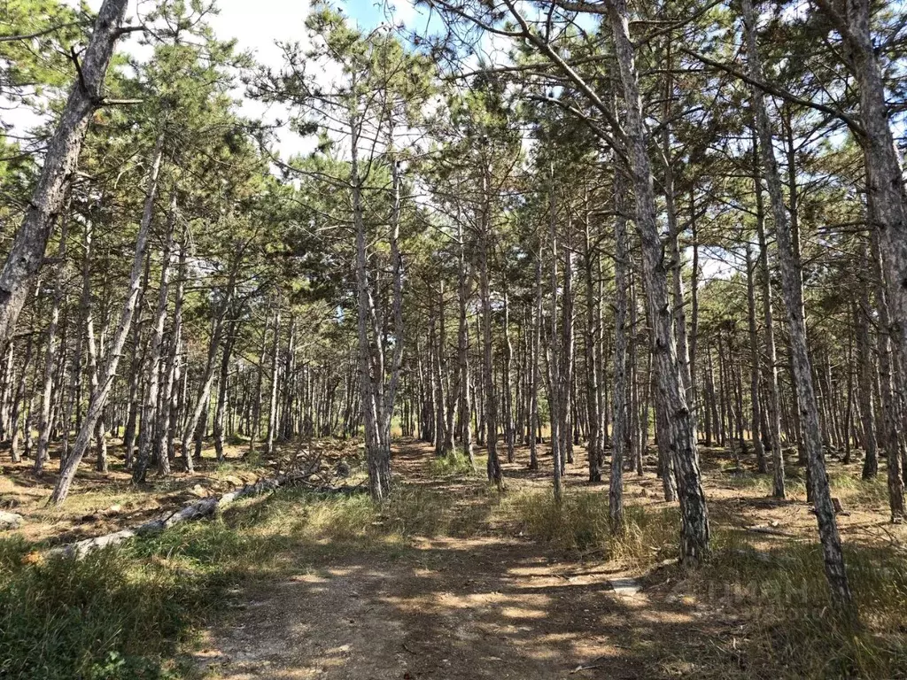 Дом в Севастополь Строитель-2 СНТ, 49 (55 м) - Фото 2