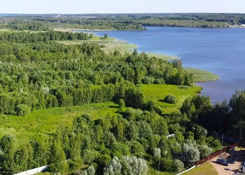 Участок в Московская область, Мытищи городской округ, д. Протасово 36 ... - Фото 0