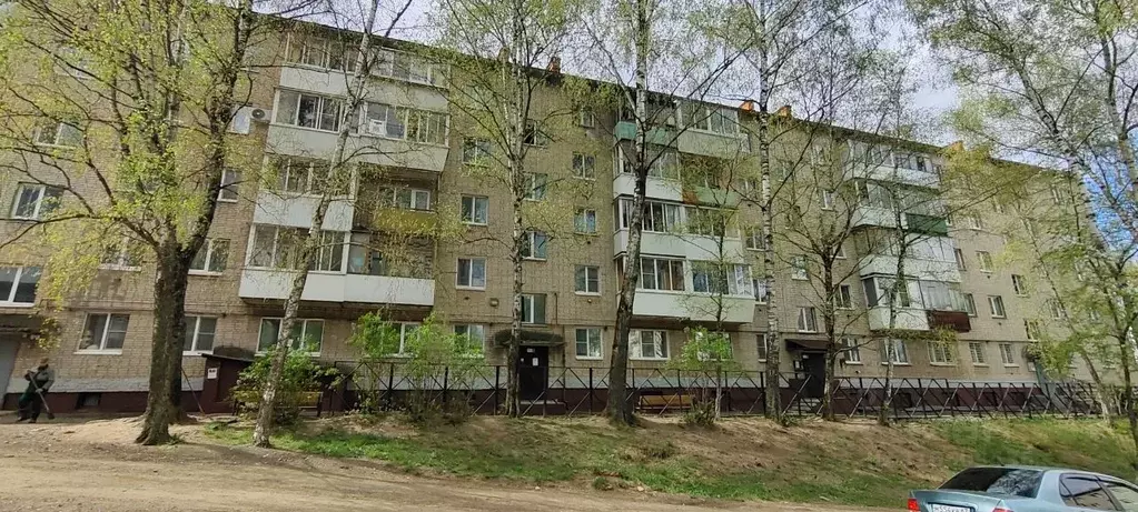 2-к кв. Смоленская область, Смоленск Ново-Краснофлотская ул., 15 (46.0 ... - Фото 0