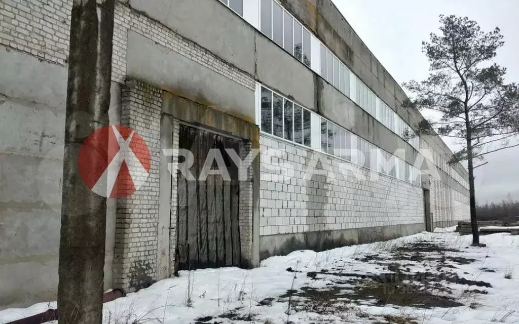 Склад в Брянская область, Карачев ул. Горького, 25 (6000 м) - Фото 1