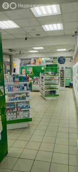 Помещение свободного назначения (241 м) - Фото 2