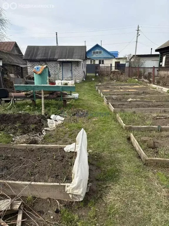 Участок в Бор, улица Рогуново, 19 (6.5 м) - Фото 2