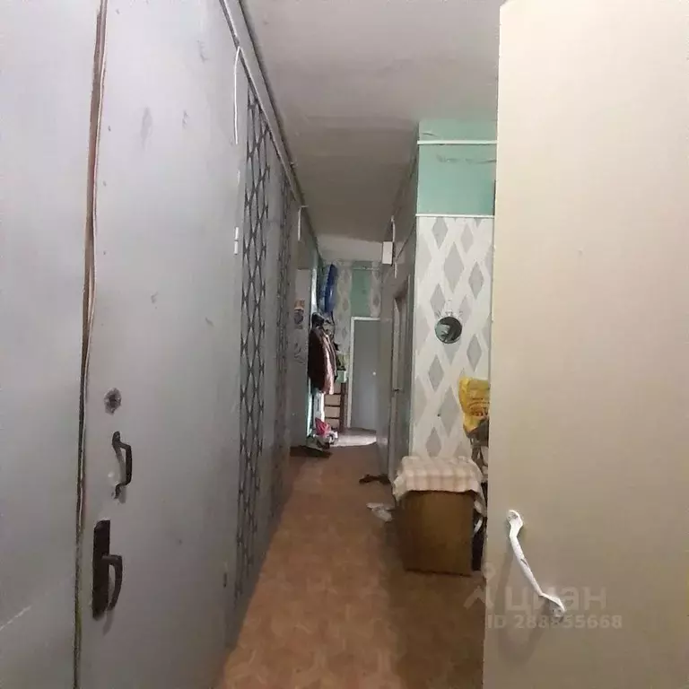 Комната Санкт-Петербург Английский просп., 5 (23.0 м) - Фото 2