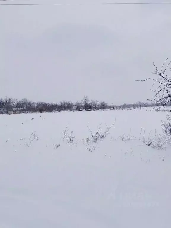 Участок в Краснодарский край, Кавказская ст-ца ул. Демьяна Бедного ... - Фото 1
