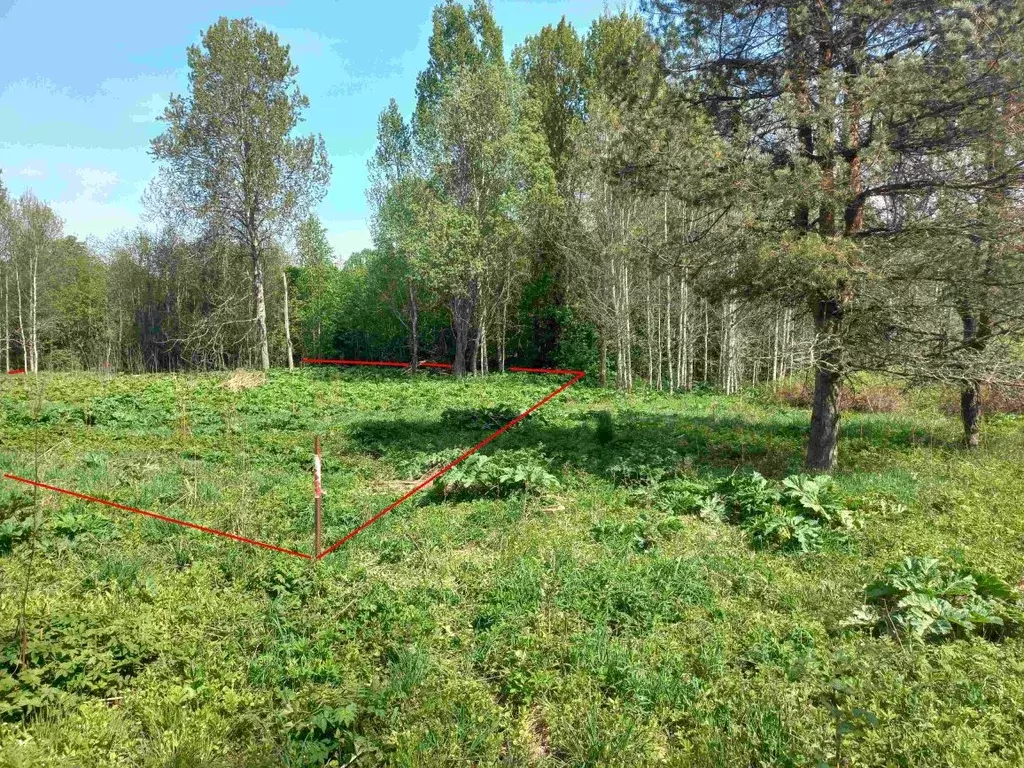 Участок в Ленинградская область, Приозерский район, Ларионовское ... - Фото 2