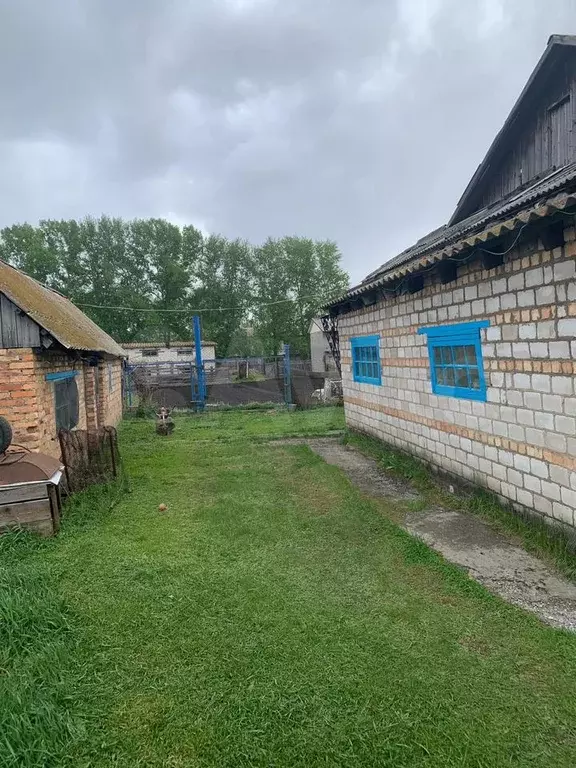 Дом 50,8 м на участке 10 сот. - Фото 1